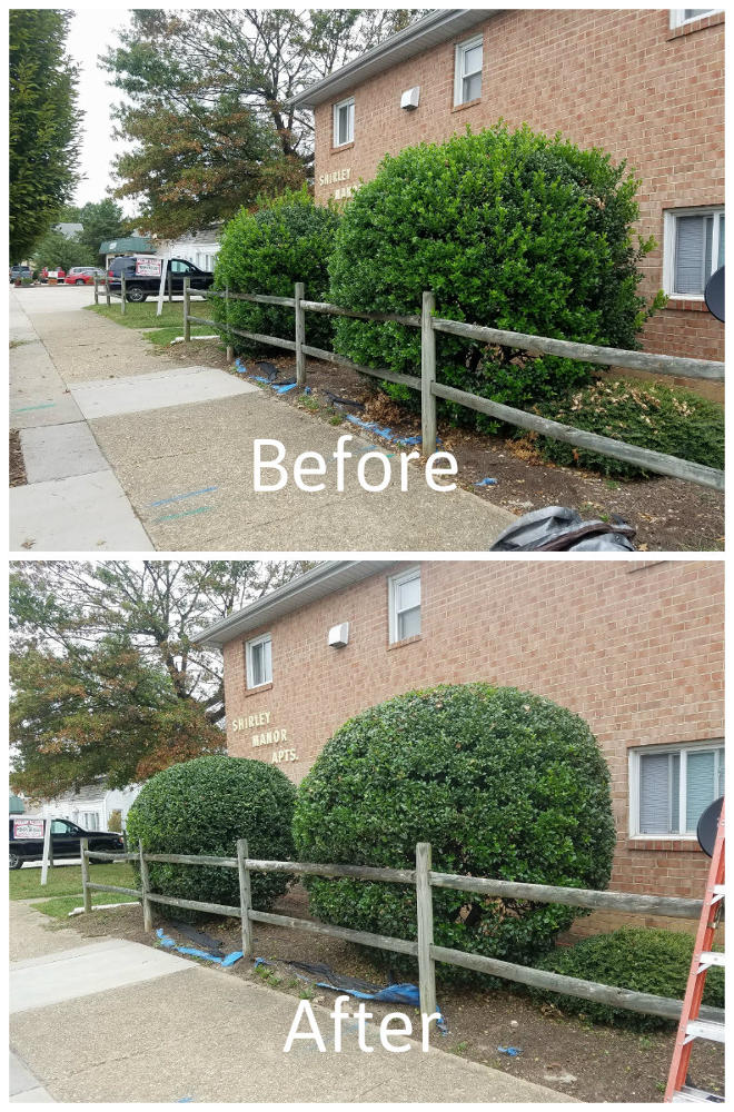 Shrubbery Pruning